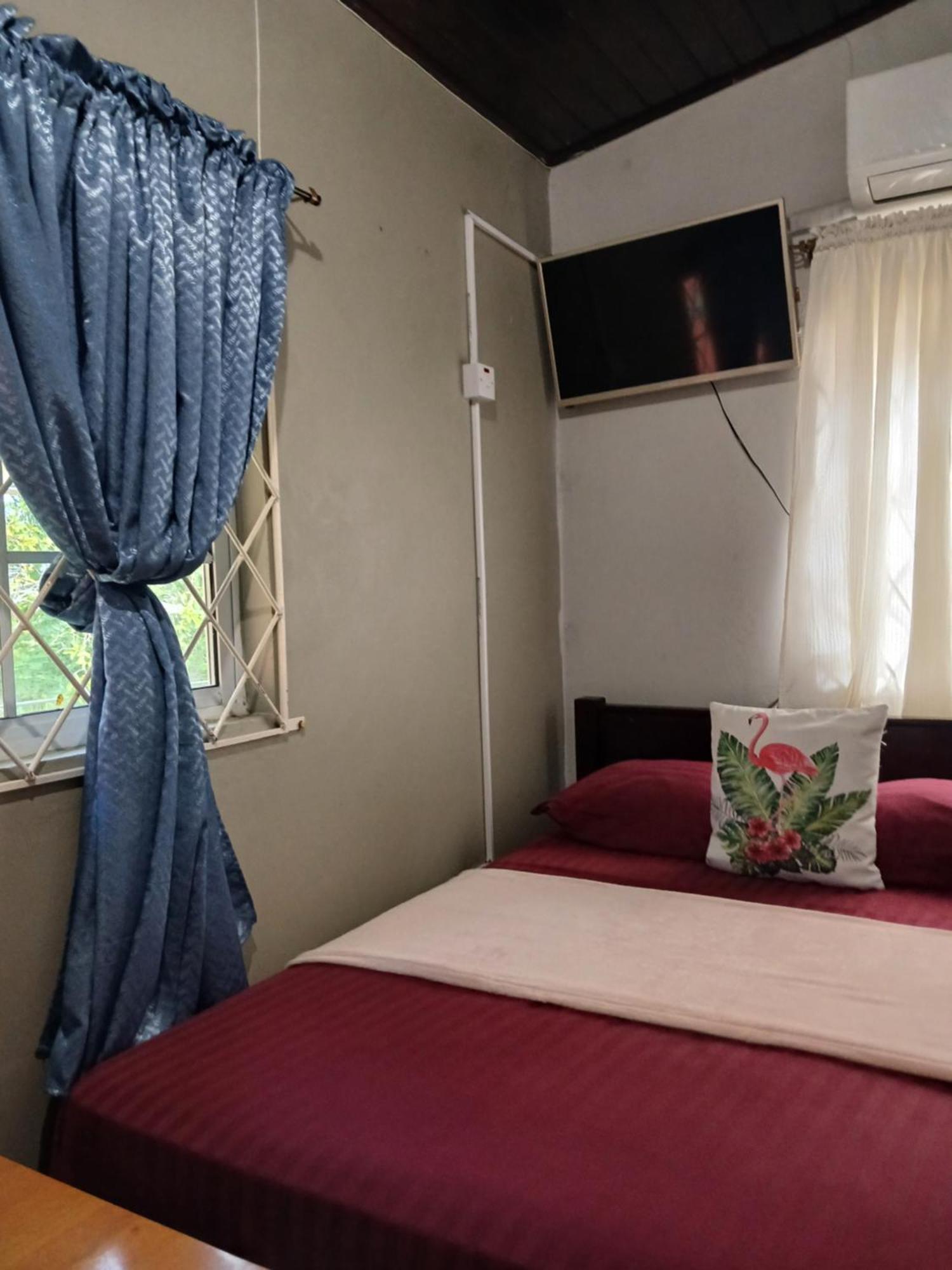 Ultimate Freedom Bed And Breakfast Santa Cruz Номер фото